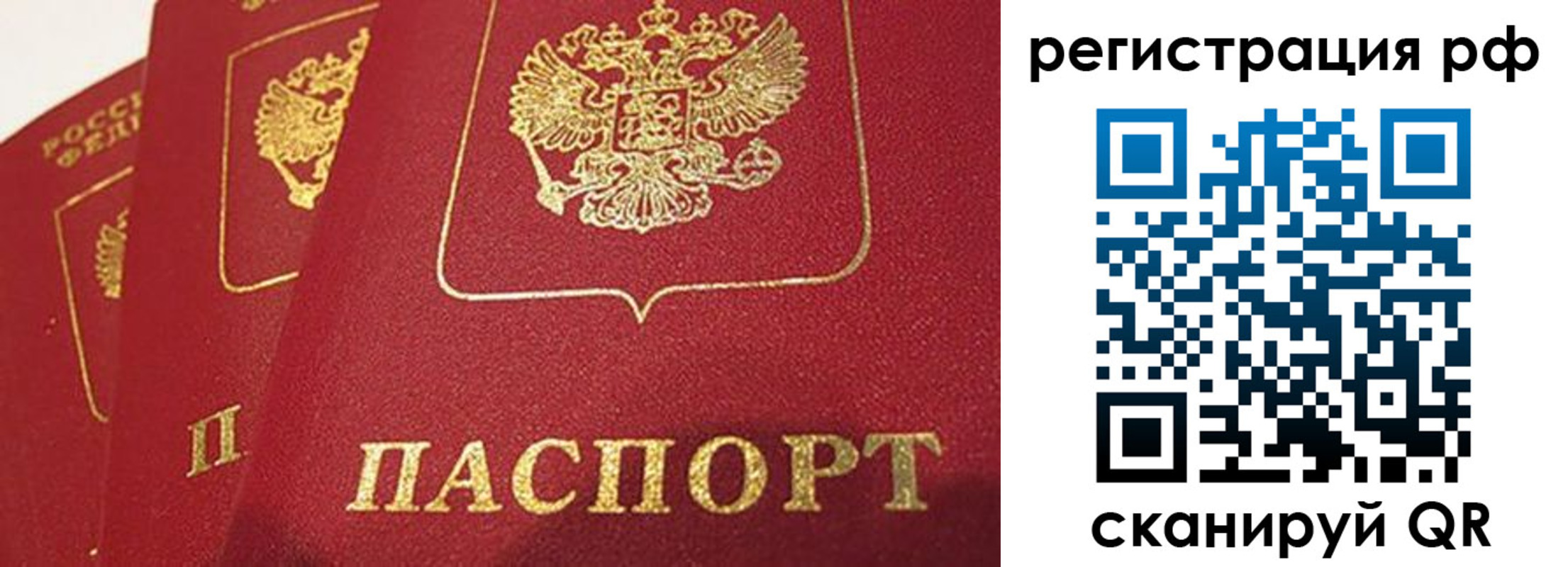 прописка в квартире в Светогорске